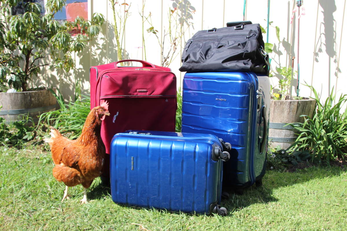 Travelling with Two Bags Vs One A Luggage Tale Adventures All Around