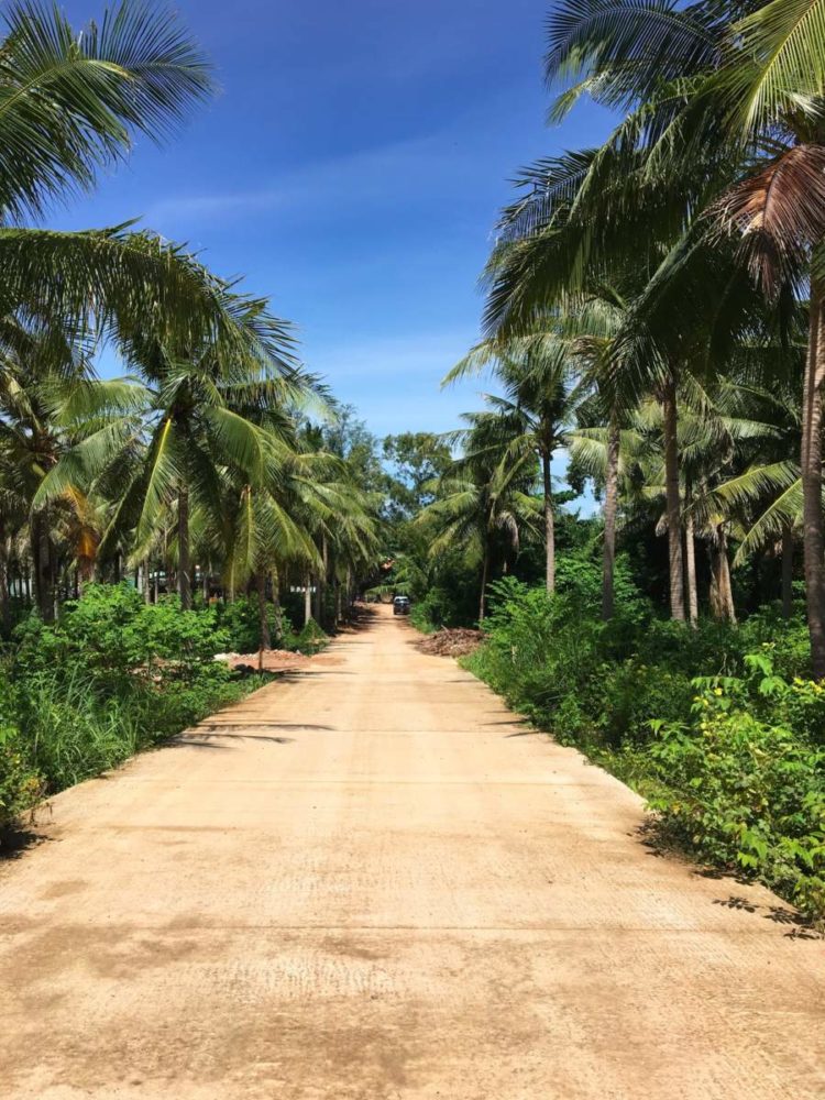 An empty road leading to one of Phu Quoc’s beautiful, isolated beaches