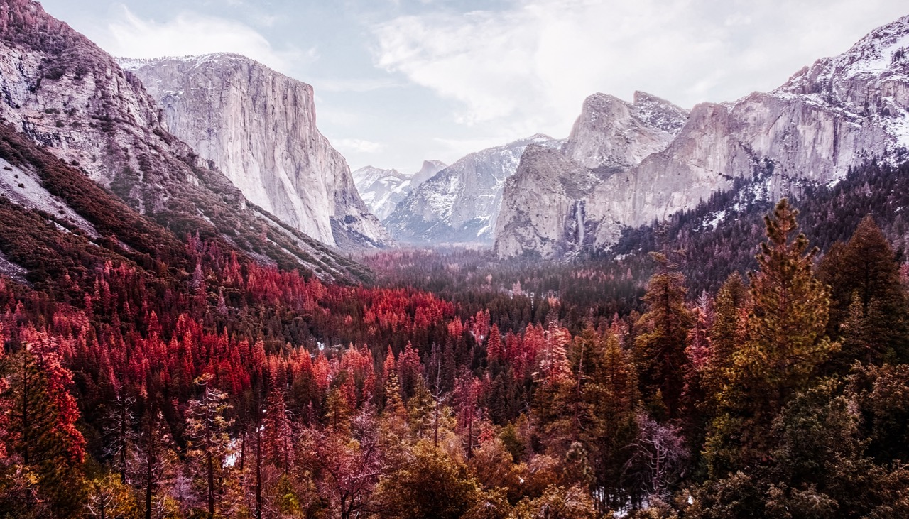 Why Visit Yosemite in Winter, Spring, Summer and Fall