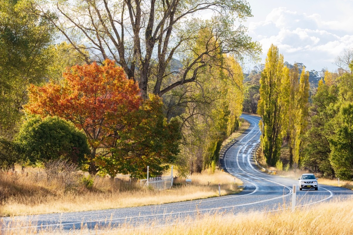 Sydney to Brisbane road trip The New England highway way